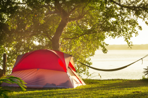 Tent  sitting under a tree by the lake