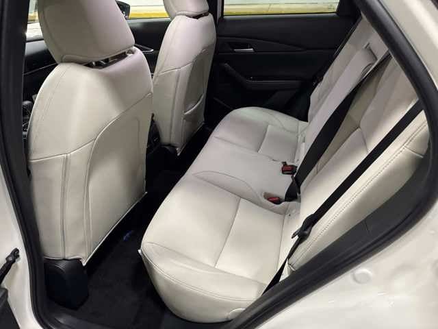 2026 Mazda Mazda CX-30 2.5 S Premium AWD