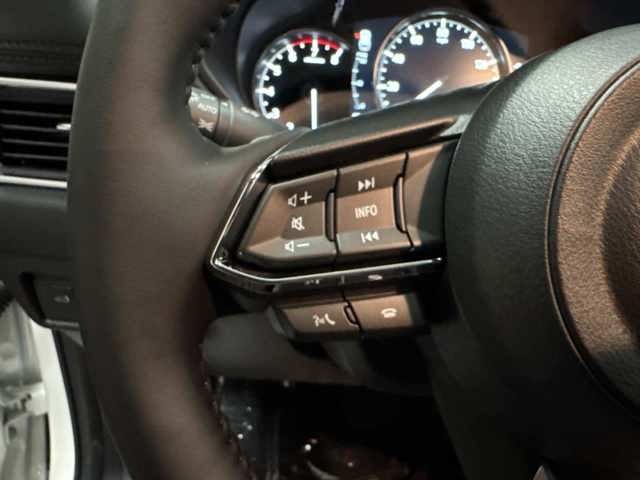 2025 Mazda Mazda CX-5 2.5 S Premium Plus AWD