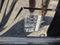 2021 Nissan Armada SL