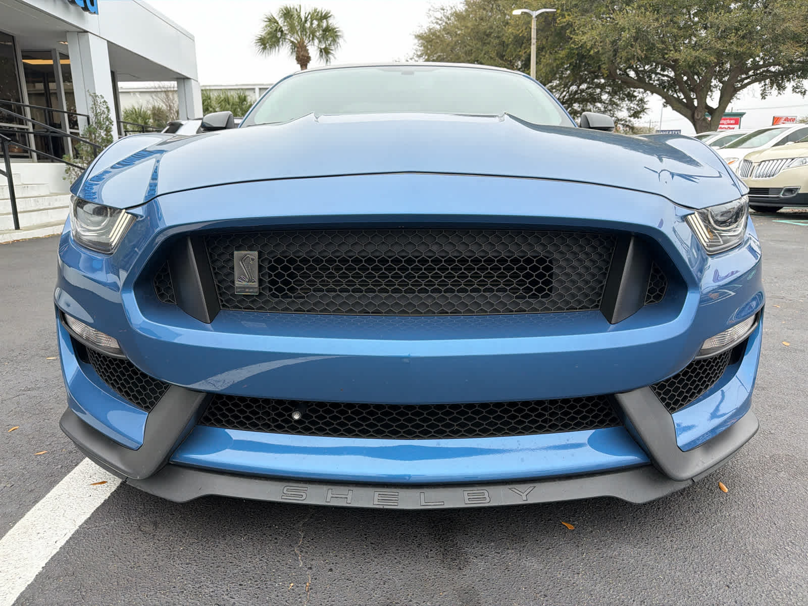 2019 Ford Mustang Shelby GT350