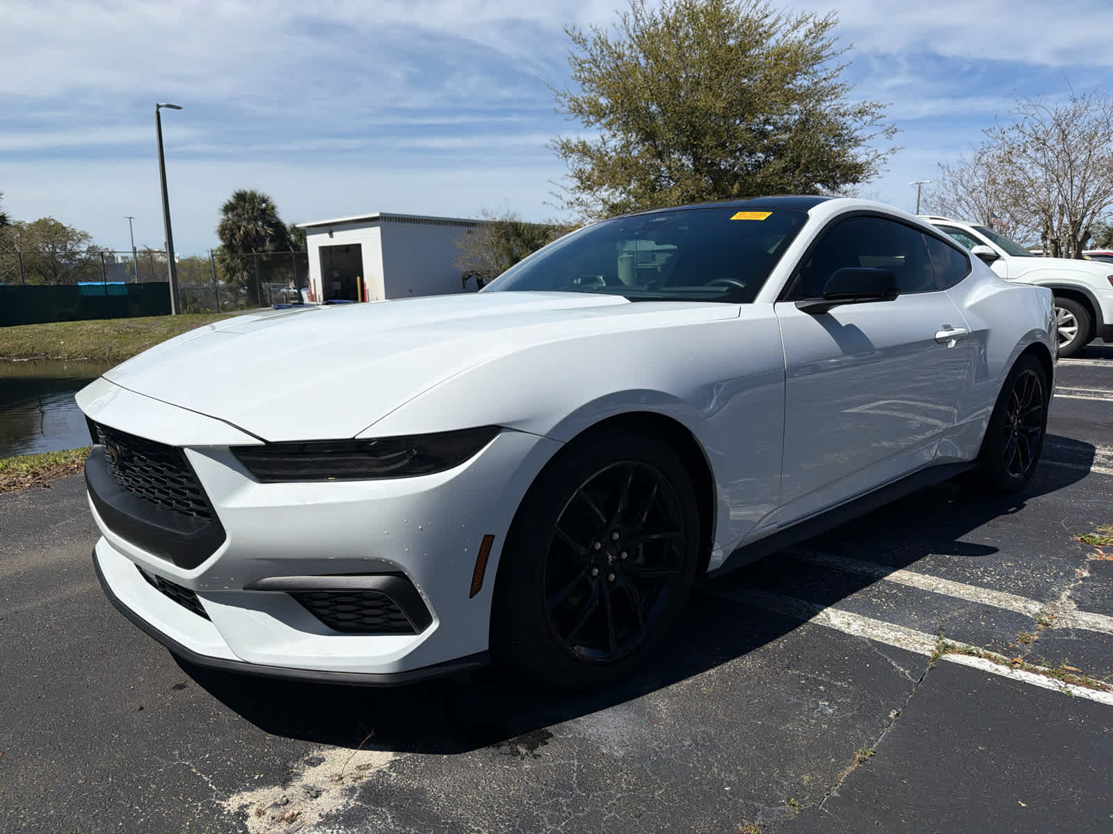 2025 Ford Mustang EcoBoost
